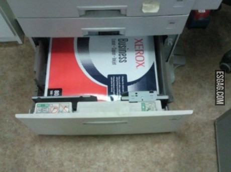 Primer día de trabajo