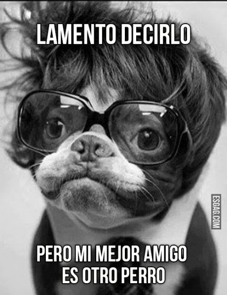 El mejor amigo del hombre es el perro, pero...