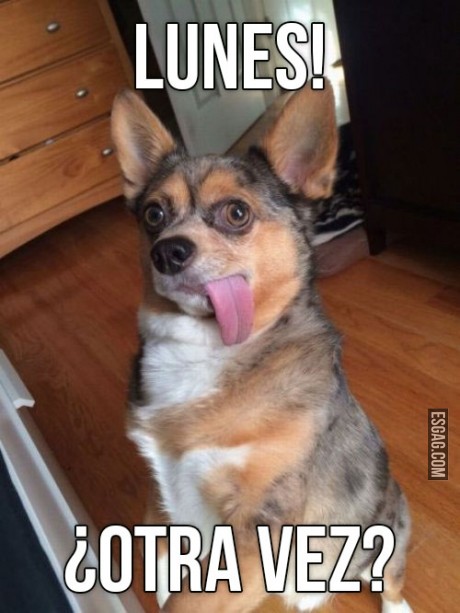Lunes! &iquest;Otra vez?