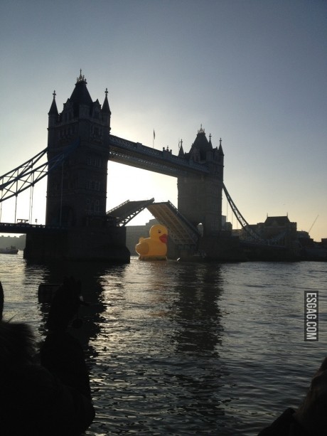 El puente de Londres de paso a un patito de goma