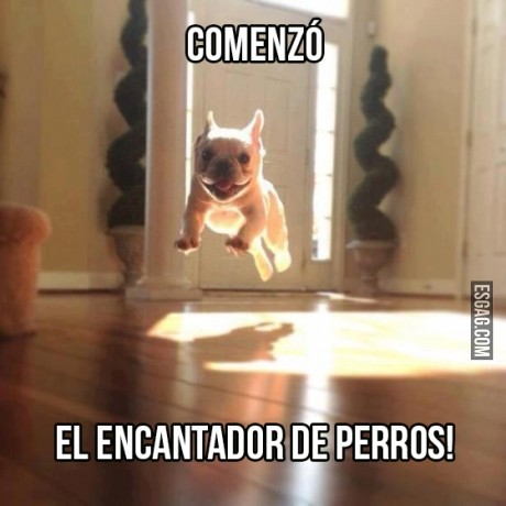 Comienza mi programa favorito!
