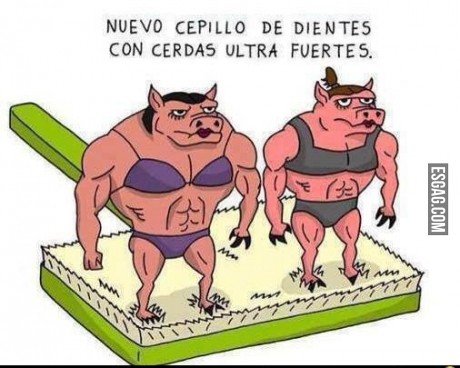 Nuevo cepillo con cerdas muy fuertes