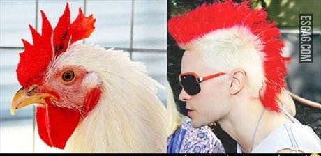 Peinados inspirados en la naturaleza