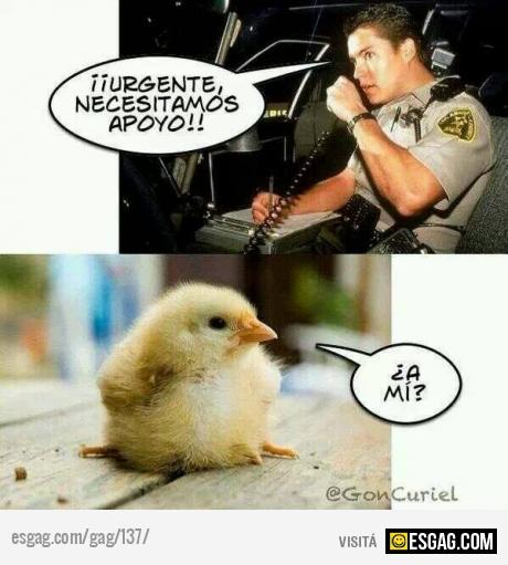 Necesitamos apoyo!