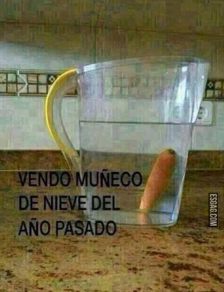 Vendo muñeco de nieve del año pasado