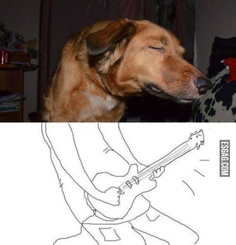 Perro rockero