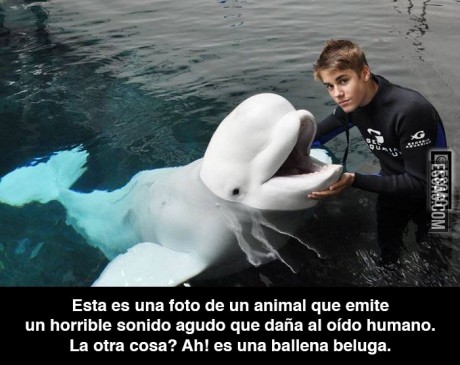 Es algo que daña al iodo humano