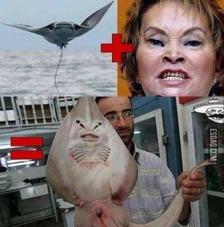 El origen de las especies