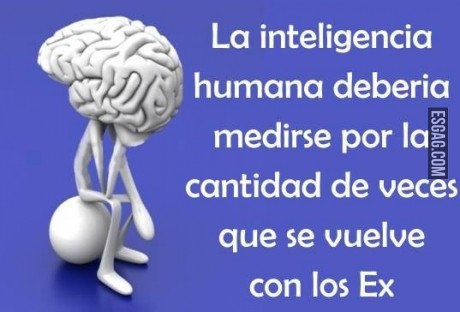 La inteligencia
