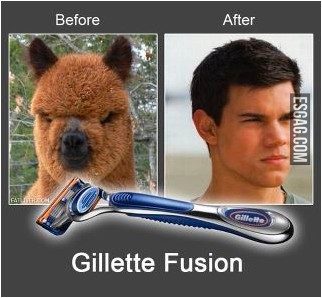 El origen del Gillete Fusion