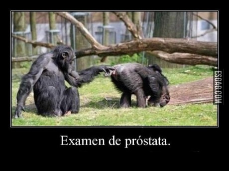 Cosas de proctólogos
