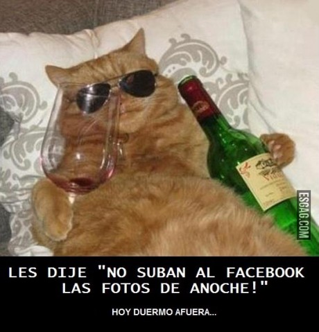 Fotos comprometedoras