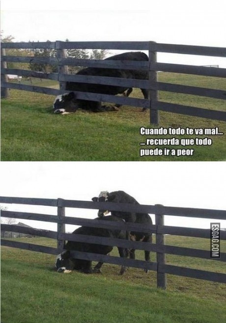 Cuando todo va mal...