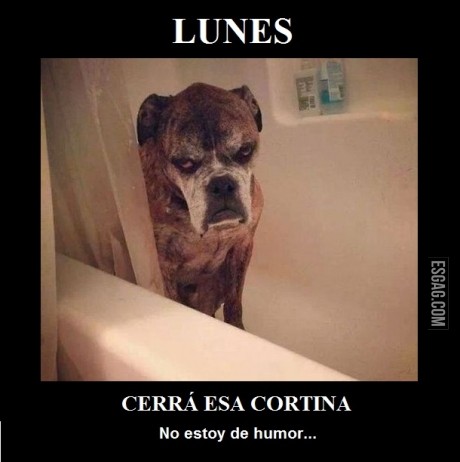 Lunes