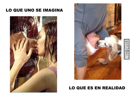 Expectativa vs. Realidad