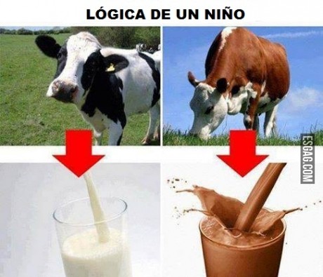 Lógica de un niño