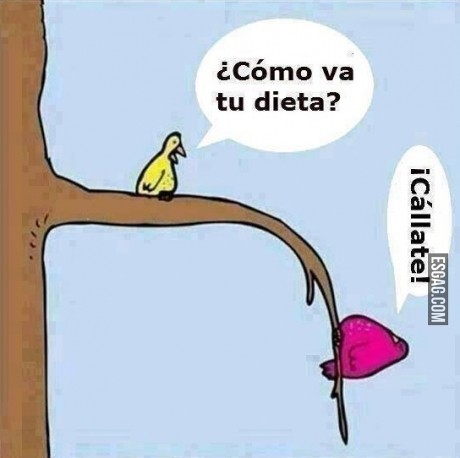 Conversación fluída