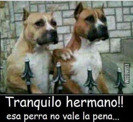 Consejos de un amigo