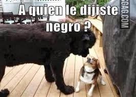 Por eso es mejor meterse con alguien del mismo tamaño