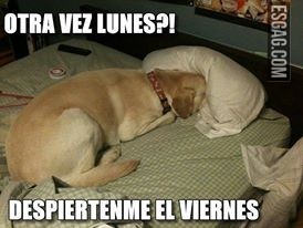 Esto es empezar la semana con entusiasmo!