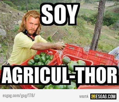 SOY AGRICUL THOR