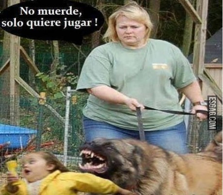 Pero si solo quiere jugar!!!!!
