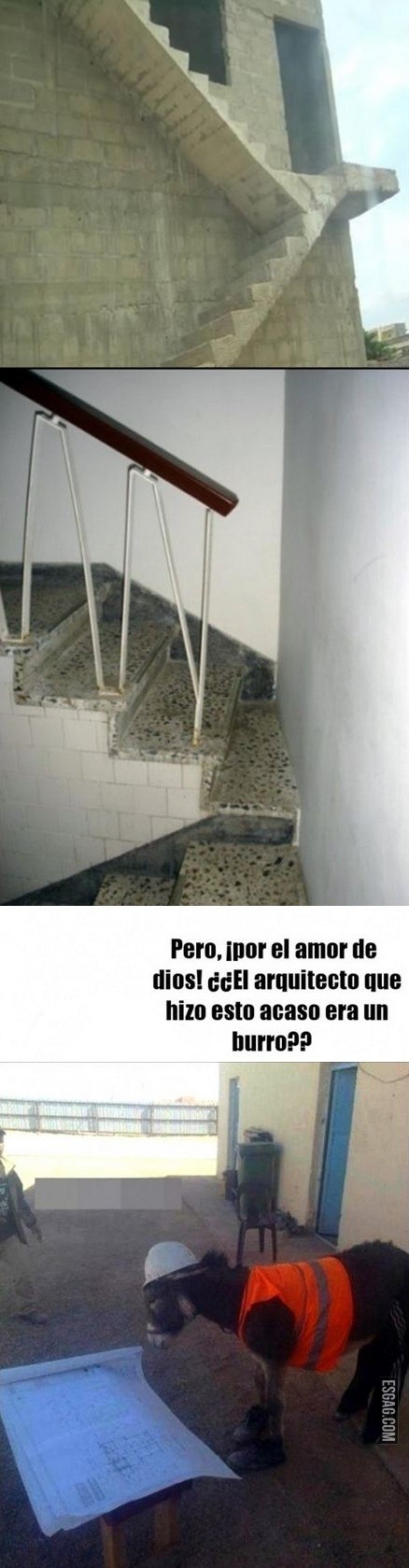 Arquitecto burro...