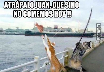 Día de pesca