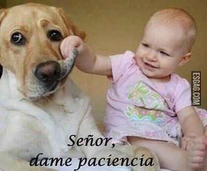 Señor dame paciencia...