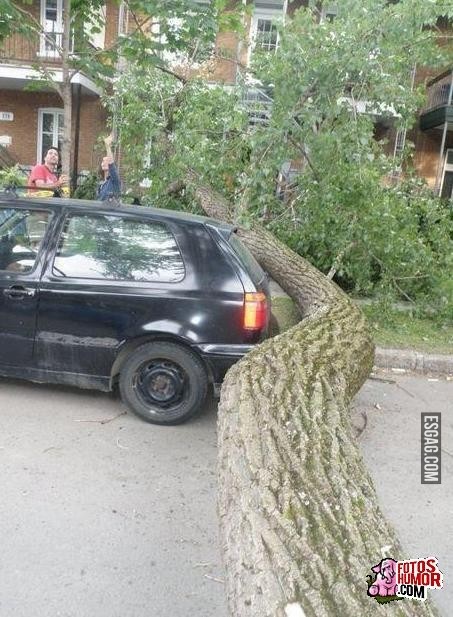 Acaso esto no es tener mucha suerte???