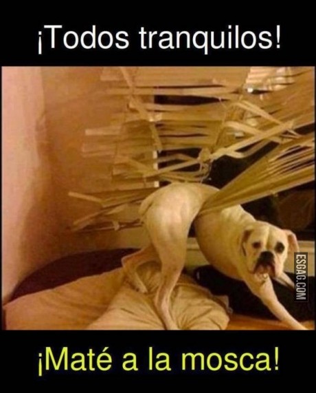 Tranquilos todos!