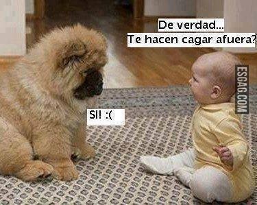 De verdad perrito?????