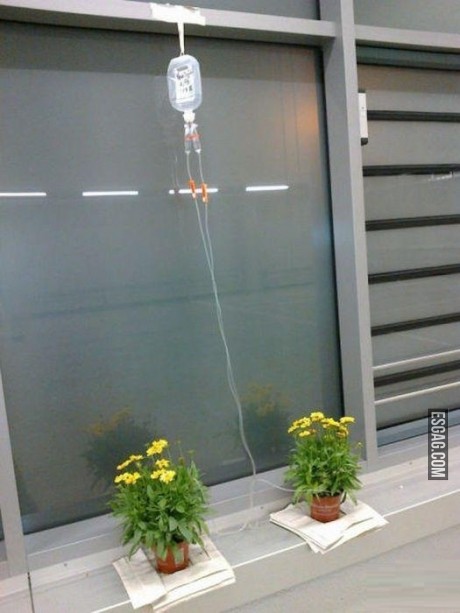 Sistema de riego para cuando no estas en casa