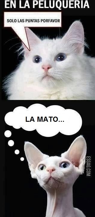 A quién no le pasó?