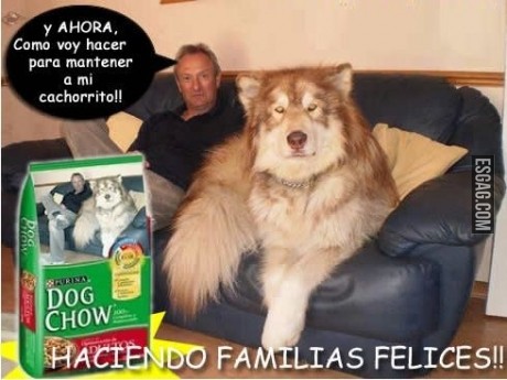Y ahora???