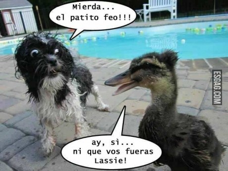 Comparaciones...
