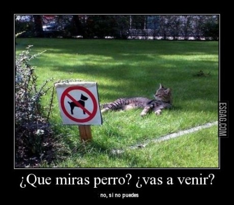 Prohibido el ingreso...