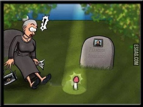 Milagros inesperados