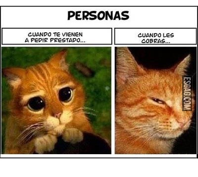 Caras que acompañan la situación...