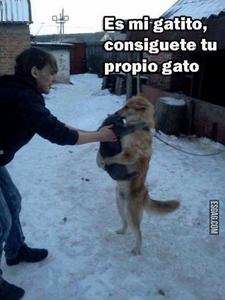 Buscate el tuyo! Este es mío