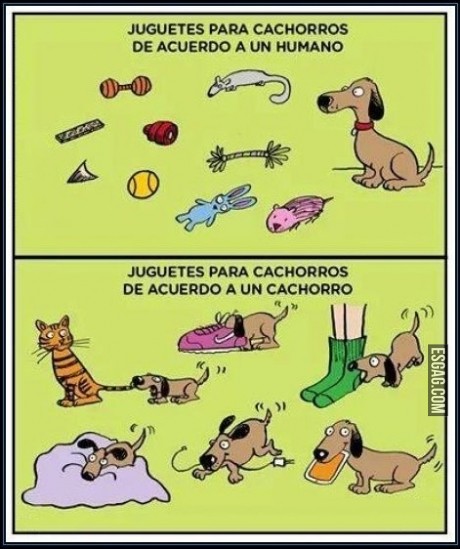 Hagamos lo que hagamos... siempre va a ser así