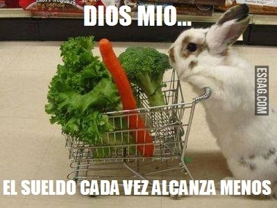 Hasta a los conejos les toca la crisis!