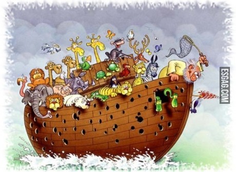 El error en el arca de Noé