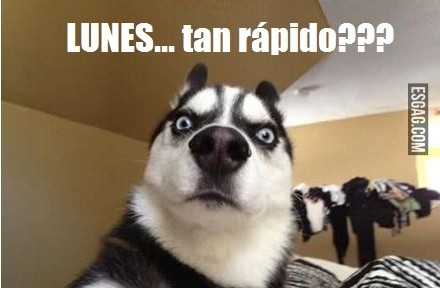 Lunes otra vez!!!