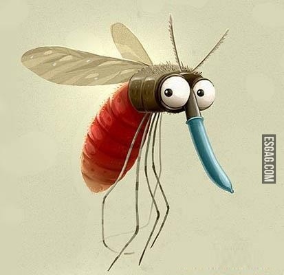 Nuevo diseño de protección