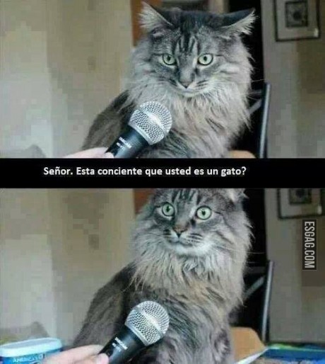 Ah si? no me había percatado del detalle