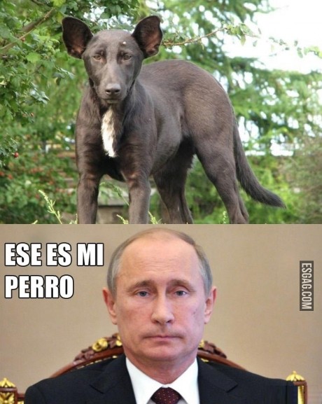 Cualquier similitud con la realidad es pura coincidencia