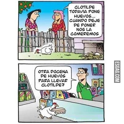 Los huevos Clotilde... los huevos!!!