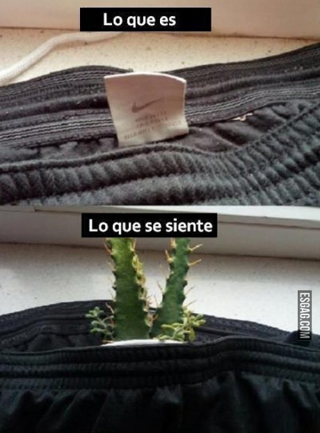 Una cosa es cómo se ve y otra......