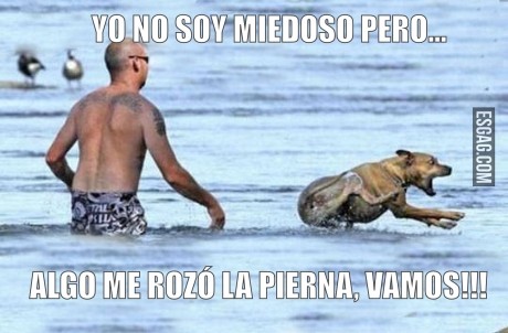 Yo no soy miedoso pero...